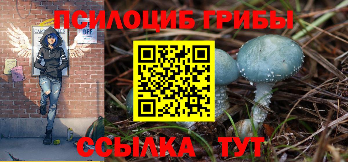 Галлюциногенные грибы Cubensis  Галлюциногенные грибы ЛСД  Вход с VPN  Чита 
